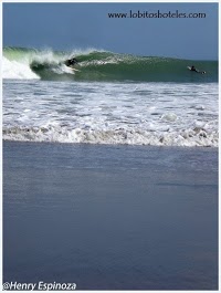 Tiki Surf Shop 1224892 Image 9