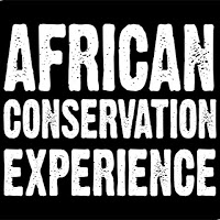 African Conservation Experience Ltd 1223847 Image 0