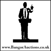 Bangor Auctions NI 1220937 Image 4