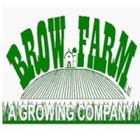 Brow Farm Ltd 1224207 Image 5