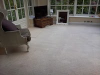 Prolux Carpet Cleaning 1224653 Image 0