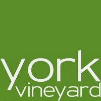 York Vineyard 1221590 Image 2